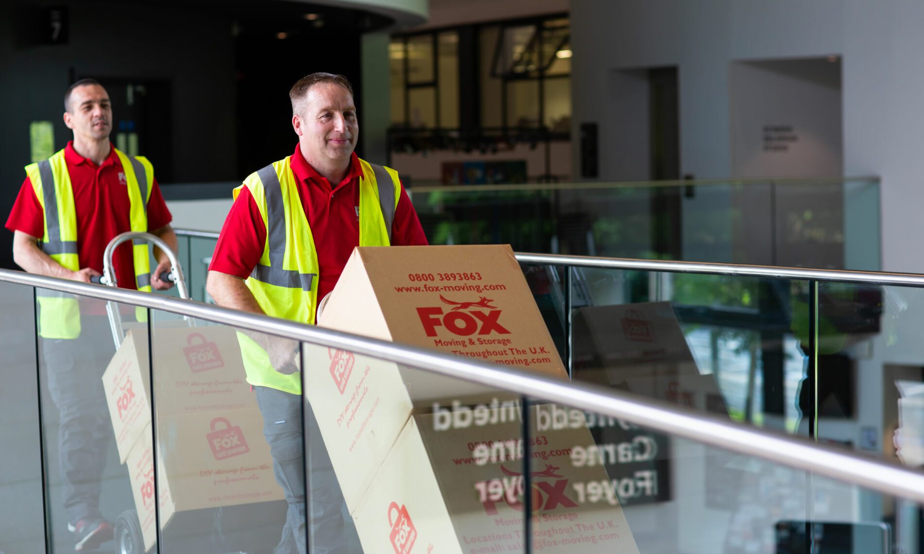 fox removals experts moving boxes during an office relocation