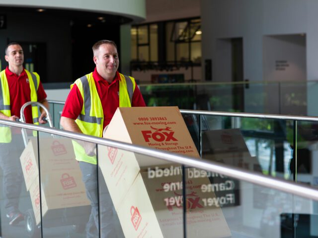 fox removals experts moving boxes during an office relocation