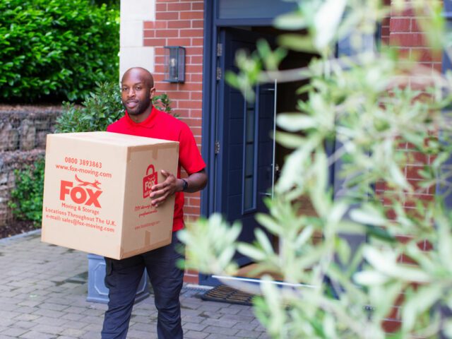 fox removals expert moving boxes